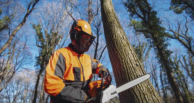 Puun kaataminen ja sopivin kaatoaika riippuu useista tekijöistä, kuten puun lajista, alueesta, sääolosuhteista ja tarkoituksesta: esimerkiksi onko kyseessä korjaava kaato tai metsänhoitotoimenpide.